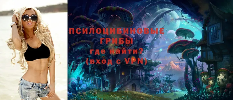 Галлюциногенные грибы Magic Shrooms  blacksprut tor  Волосово 